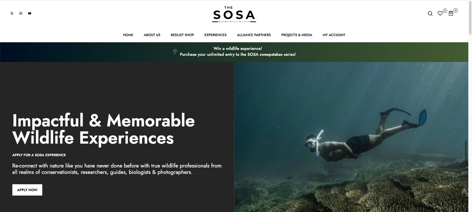 The SOSA Website Screenshot